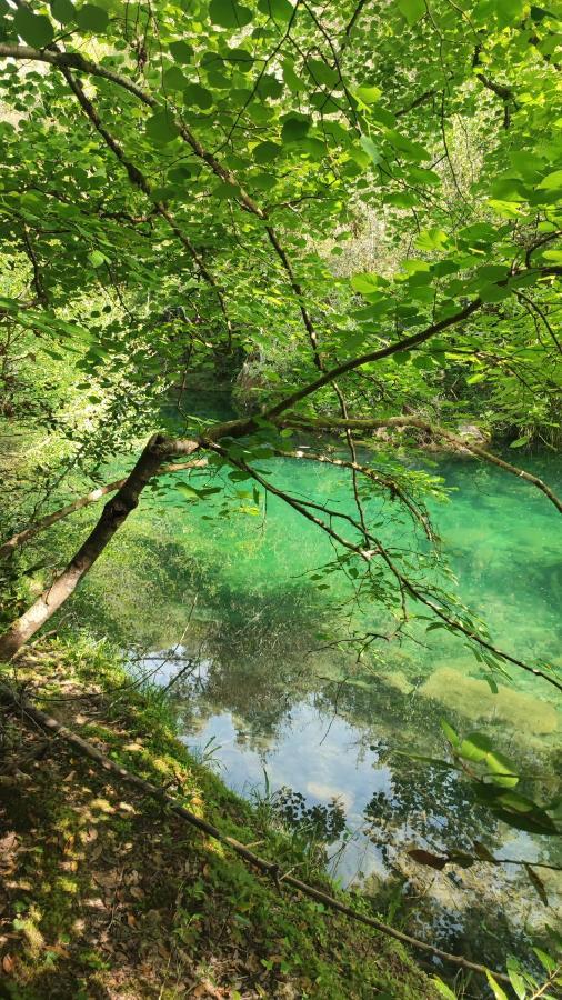Le Mas Melusine Fayence Bagian luar foto